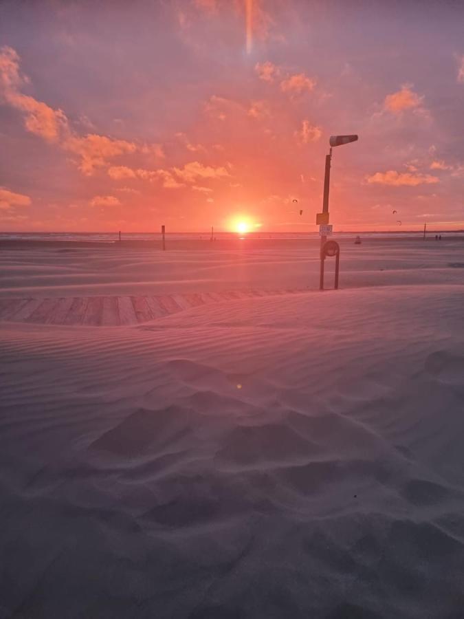 Chalet Formentera In De Duinen Van Ijmuiden Aan Zee Villa Kültér fotó